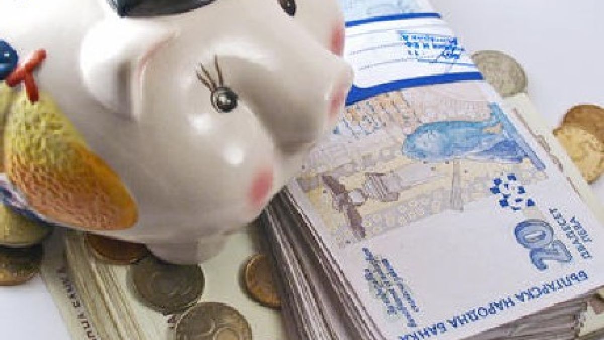 Плевлениев дръпнал с 238 хил. лева през 2010 г. 