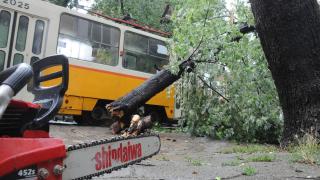 Извънредно в БЛИЦ! Халата нахлу и в София