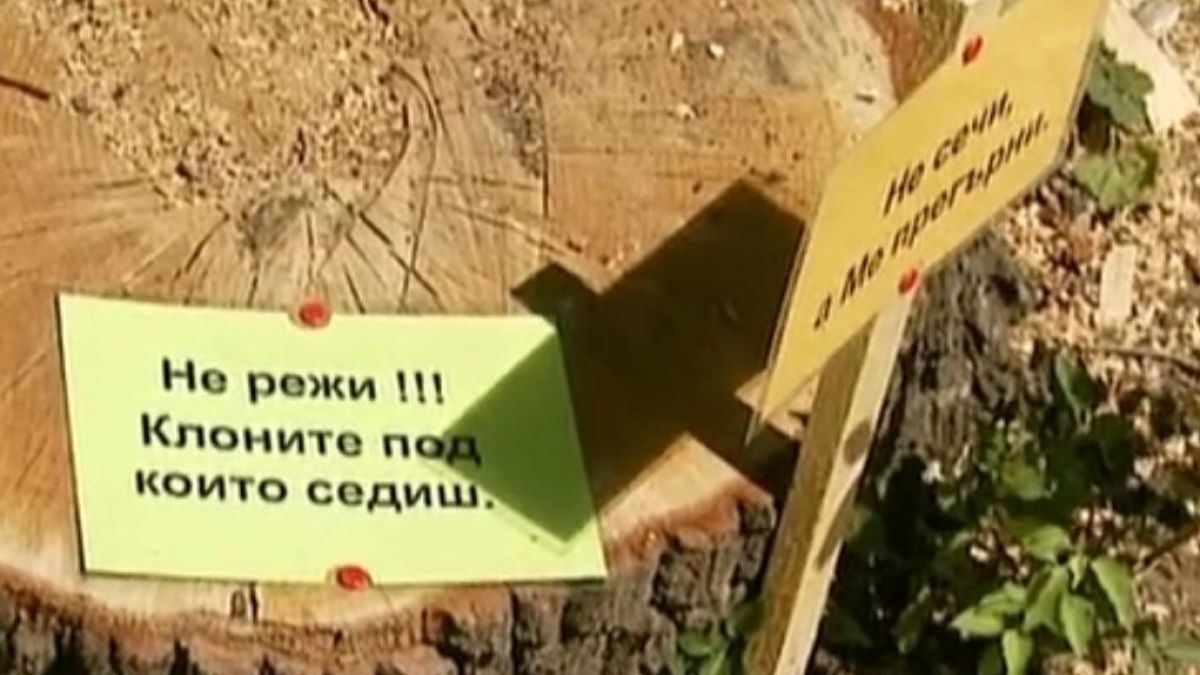 Мистерия и ужас в Борисовата градина! Психопат залага капани с полуотрязани дървета!