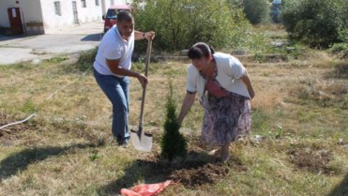 Низ от скандали в напудрената кариера на Димитър Аврамов