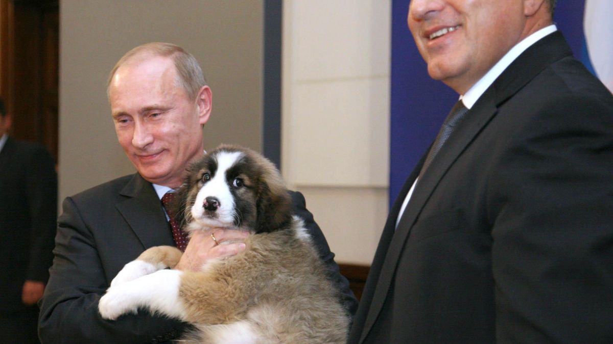 Подариха още едно куче на Путин
