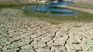 Жегата и сушата няма да ни пощадят и през август 