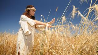 БГ зърнопроизводителите се надигнаха мощно 