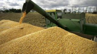 Министър Гечев разкри как ЕС ни цака с вноса на украинско зърно и сухо мляко 