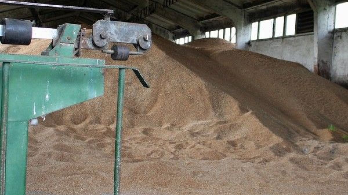 Ето кои стоки и храни от Украйна няма да бъдат допускани у нас СПИСЪК