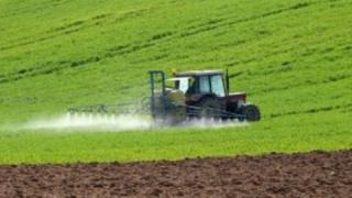 Родни фермери разкриха метод за сигурен добив от царевица