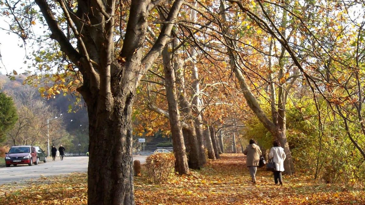 Утре – пак топло, пак слънчево!