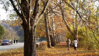 Утре – пак топло, пак слънчево!