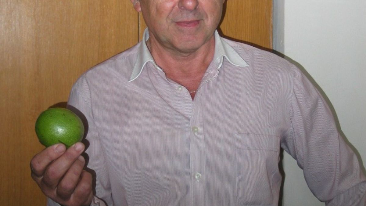 Щъркел се засели при пенсионер