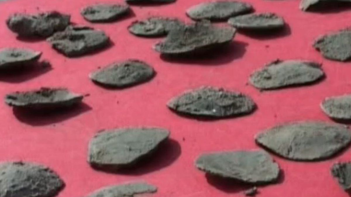 101 медни монети изскочиха при разкопки на Велики Преслав