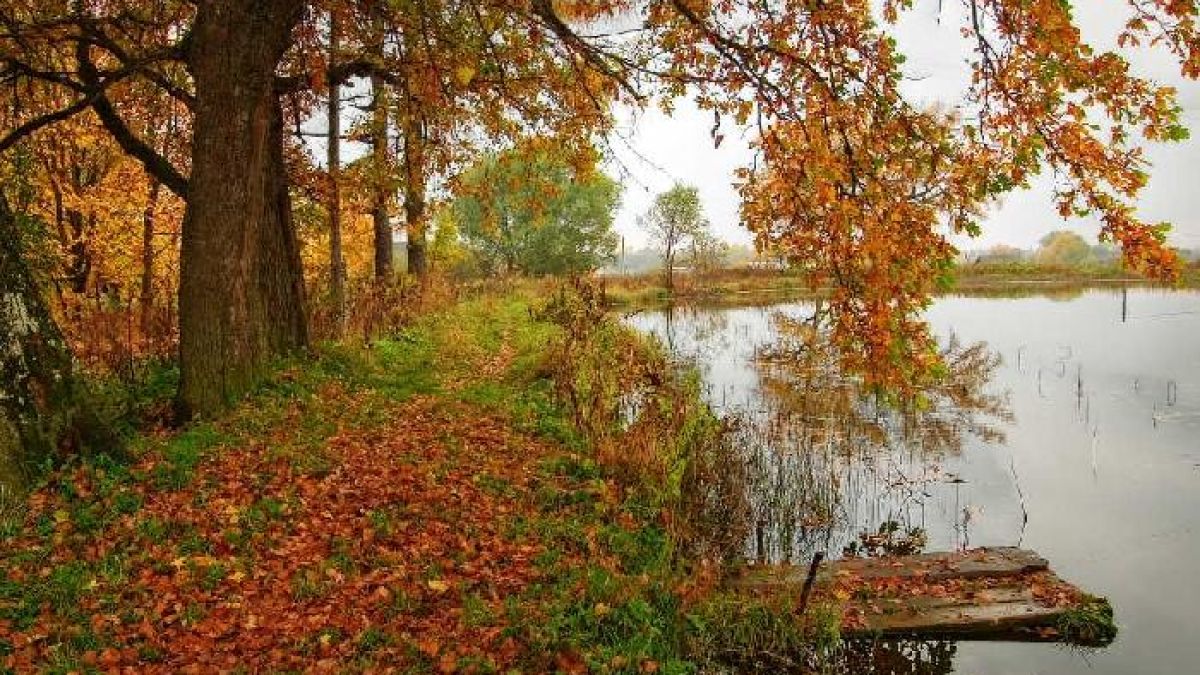 Есента идва, става все по-хладно 