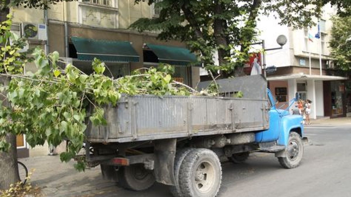 Вятър и утре, пазете се от дърветата