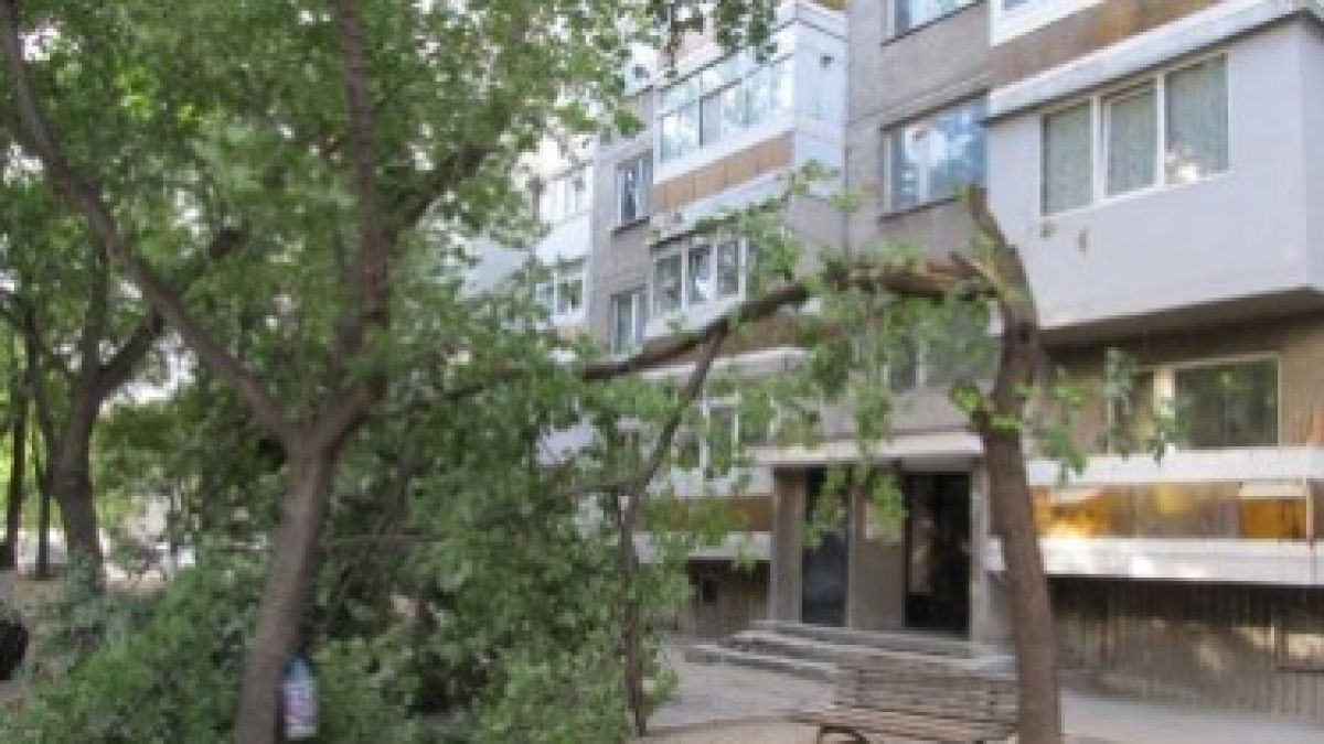 Времето ще е слънчево, но ще духа 
