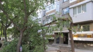 Времето ще е слънчево, но ще духа 
