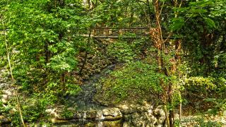 Как да изберете най-подходящата дробилка за вашата градина