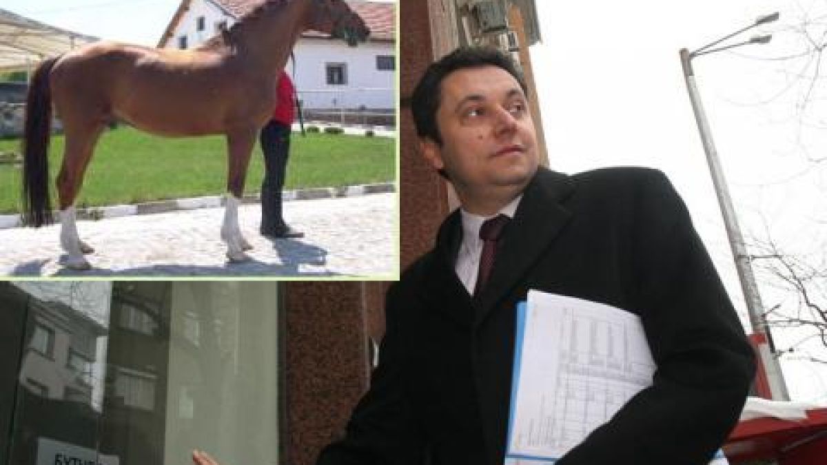 Мъжкари погубиха кобилата на Яне