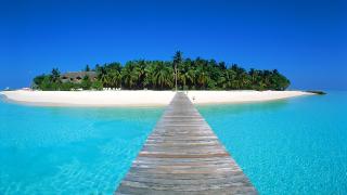 За първи път в историята: Малдивите за година посрещнаха...