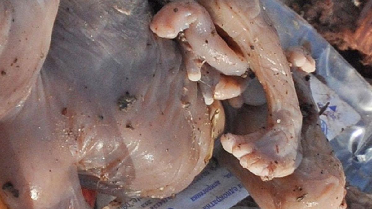 Полякиня убила 5 от новородените си деца