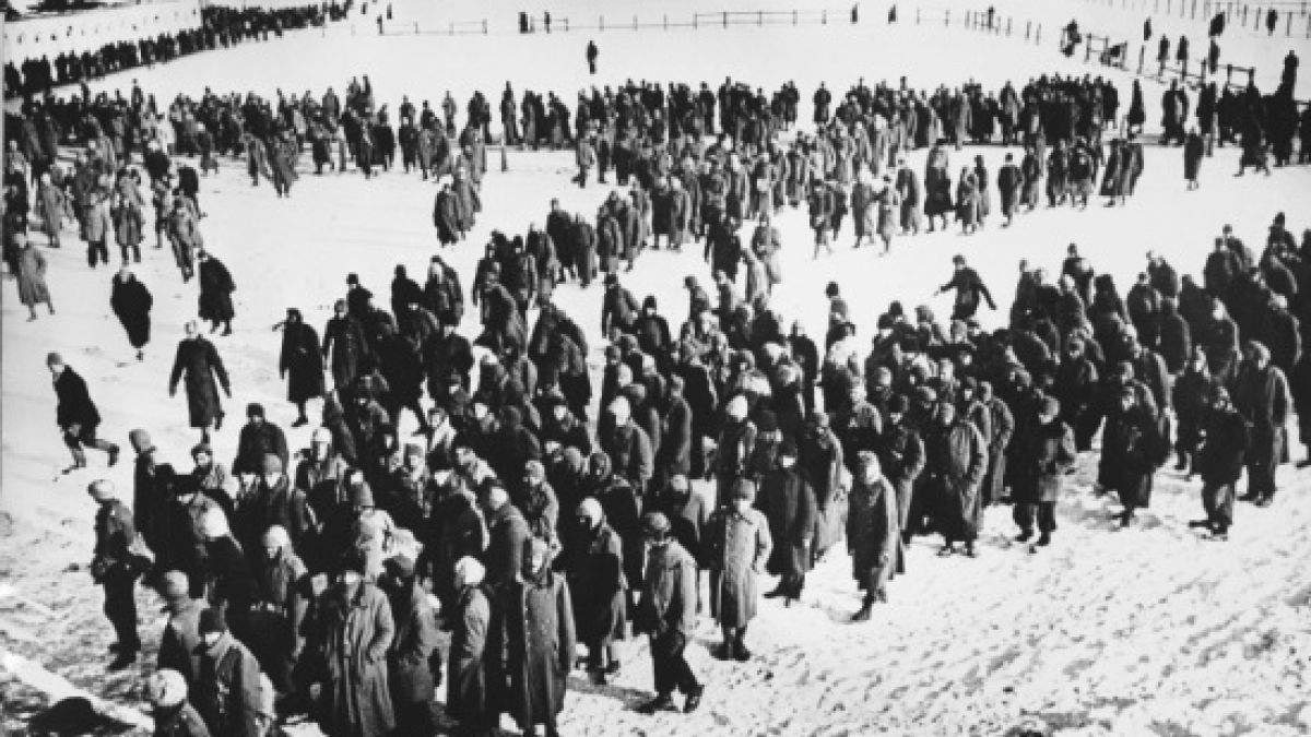 19 ноември: 70 г. от съветското контранастъпление при Сталинград