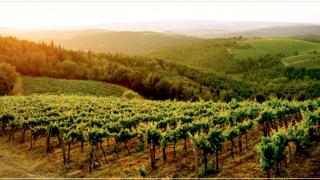 Дават близо 60 бона, ако се преместите в този красив район