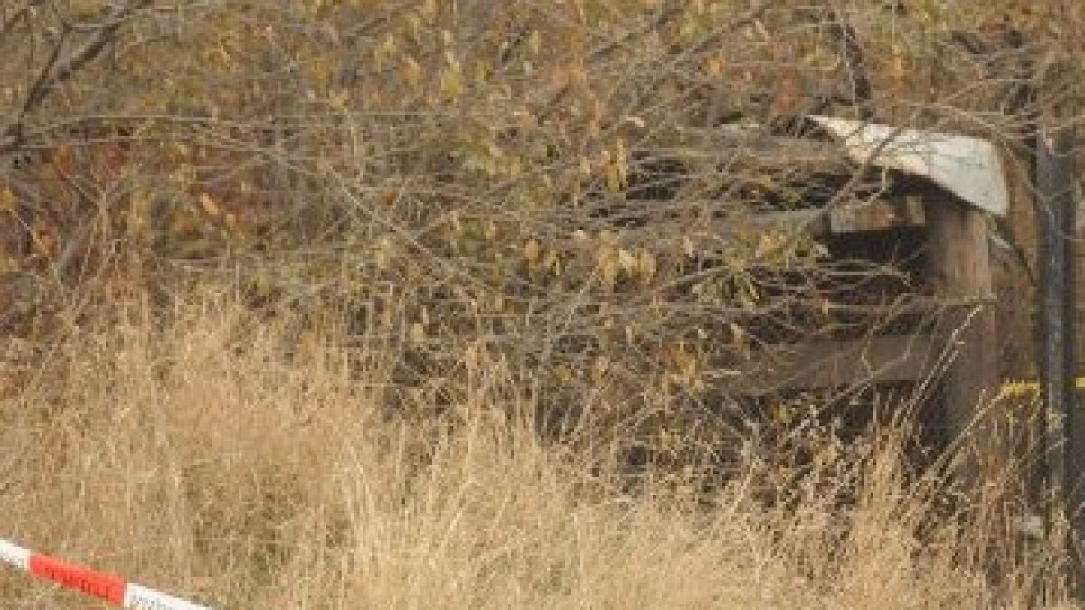 Пастир откри мъртва софиянка в Кюстендилско