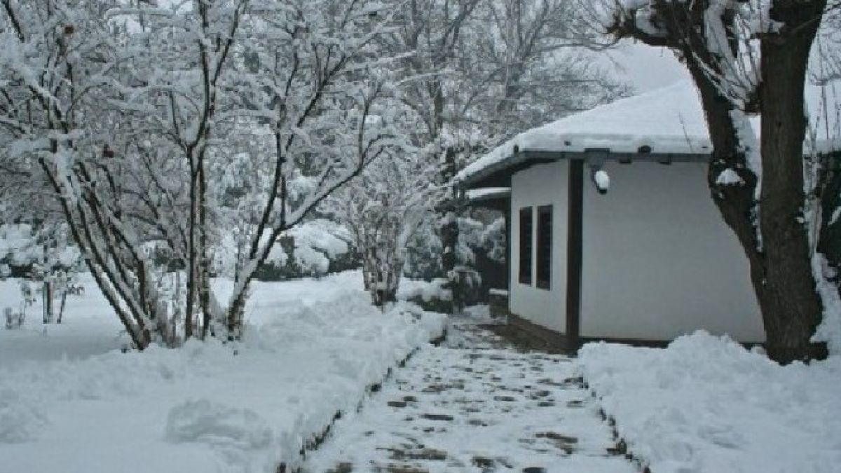 Наследница на Яворов дарява дела си от родната къща на поета в Чирпан 