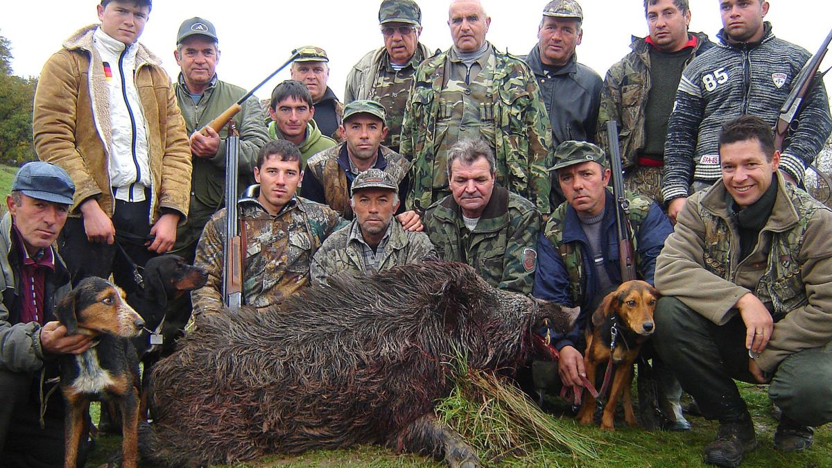 Печално: Жертви на последния ловен сезон са станали 2 магарета, 1 кон, 17 ловци и 3-ма роми