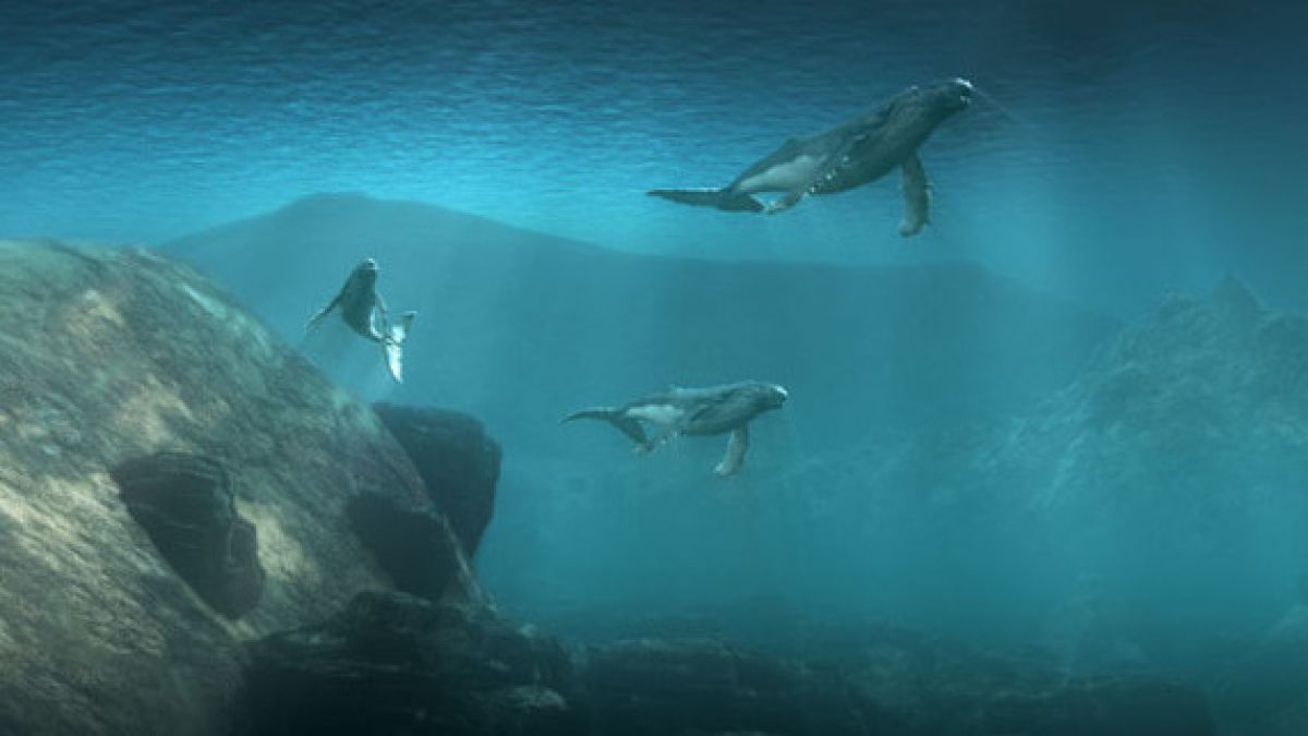 Безплатни прожекции на 3D филми на National Geographic в София