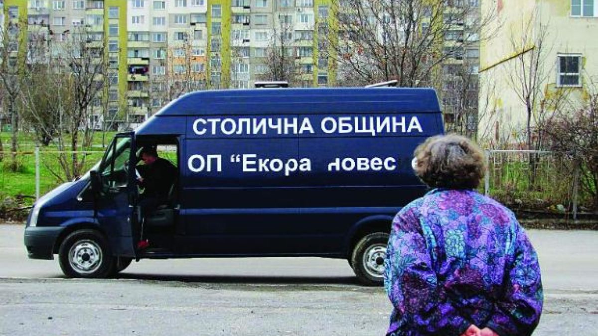 Ударно кастрират дворни кучета в столицата 