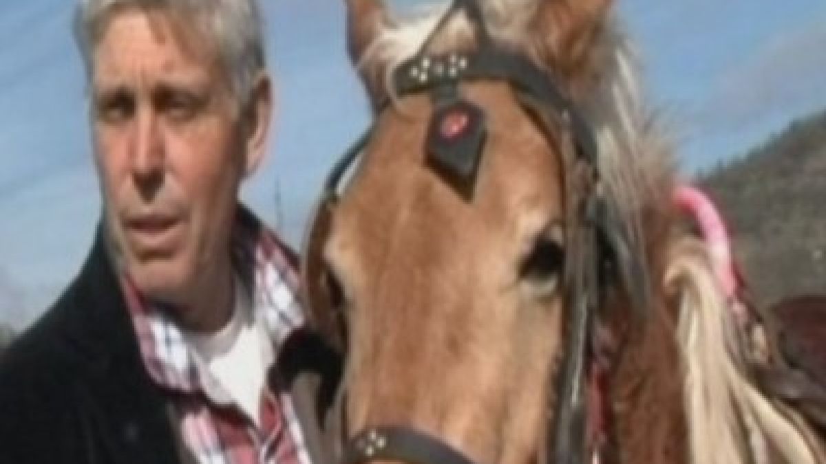Кобилата на Распутин ще помага на болни деца