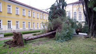 Остава бедственото положение в Трявна, в Габрово е отменено 