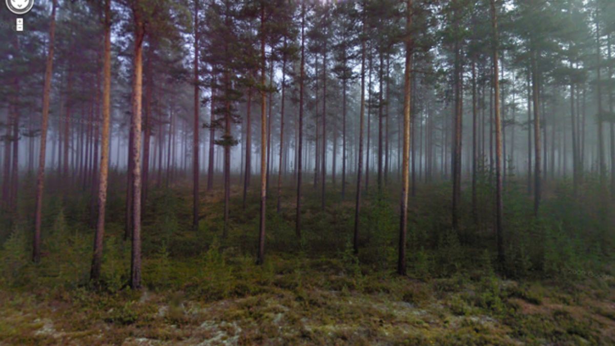 Вижте някои от най-шантавите снимки в Google StreetView 