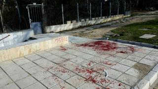Безумна агресия: Келеши избиха с камъни зъбите на мъж в Козлодуй