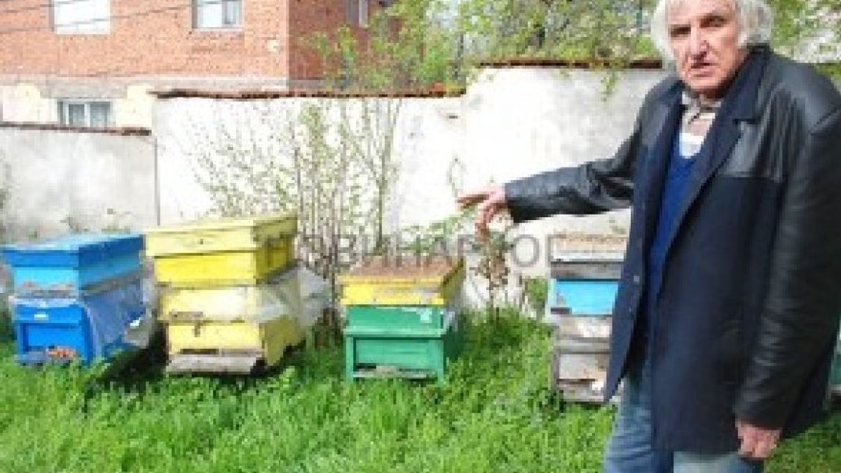 Крадат кошери заради евросубсидии
