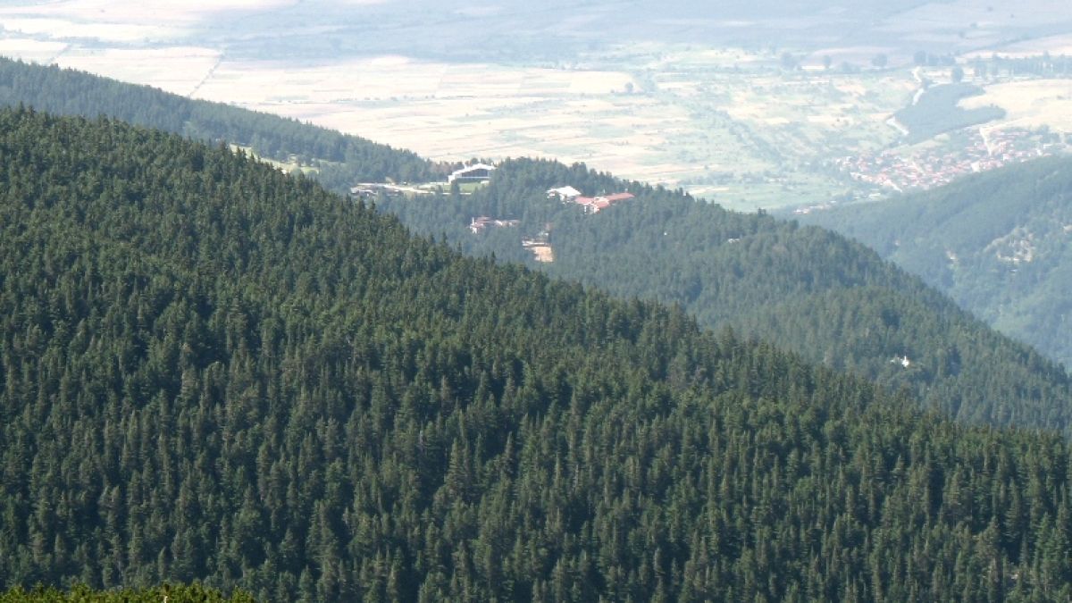 Гори на царя, Баретата, Ковачки и братя Велчеви аут от "Натура"