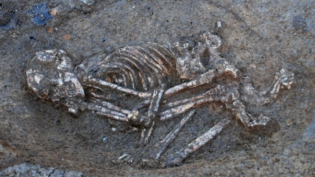 Откриха скелет на 8000 години край димитровградско село