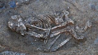 Откриха скелет на 8000 години край димитровградско село