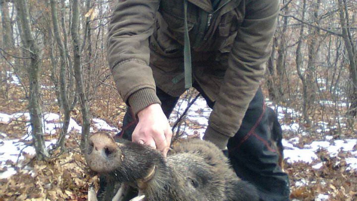 Колекционерът Боян Минков: В НИМ са изложени фалшификати, Божидар Димитров и експертите му са за съд