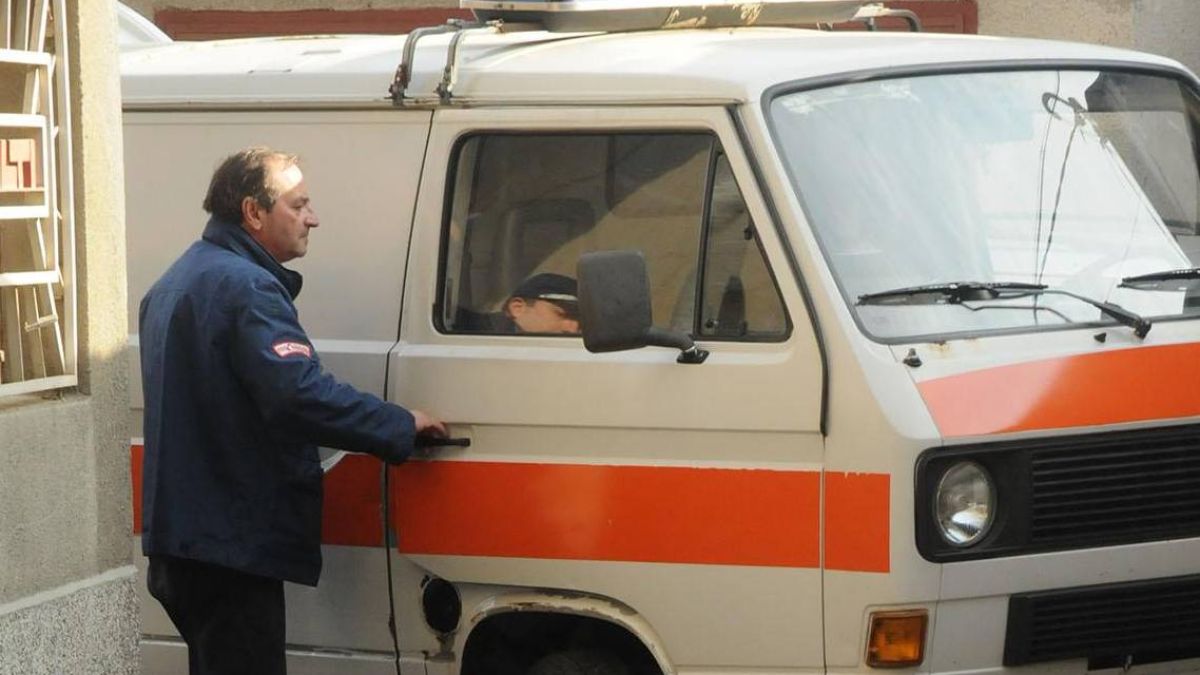 Змия ухапа жена, докато събира сено  