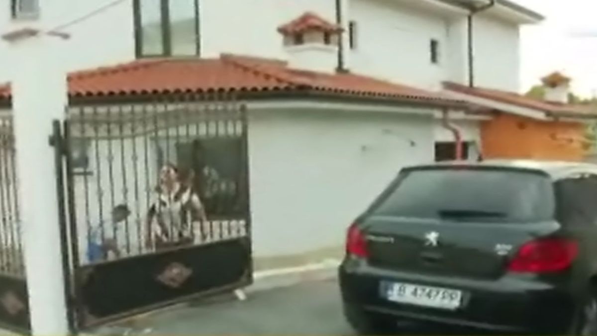 Тъща на варненски бирник гони репортерка с метла