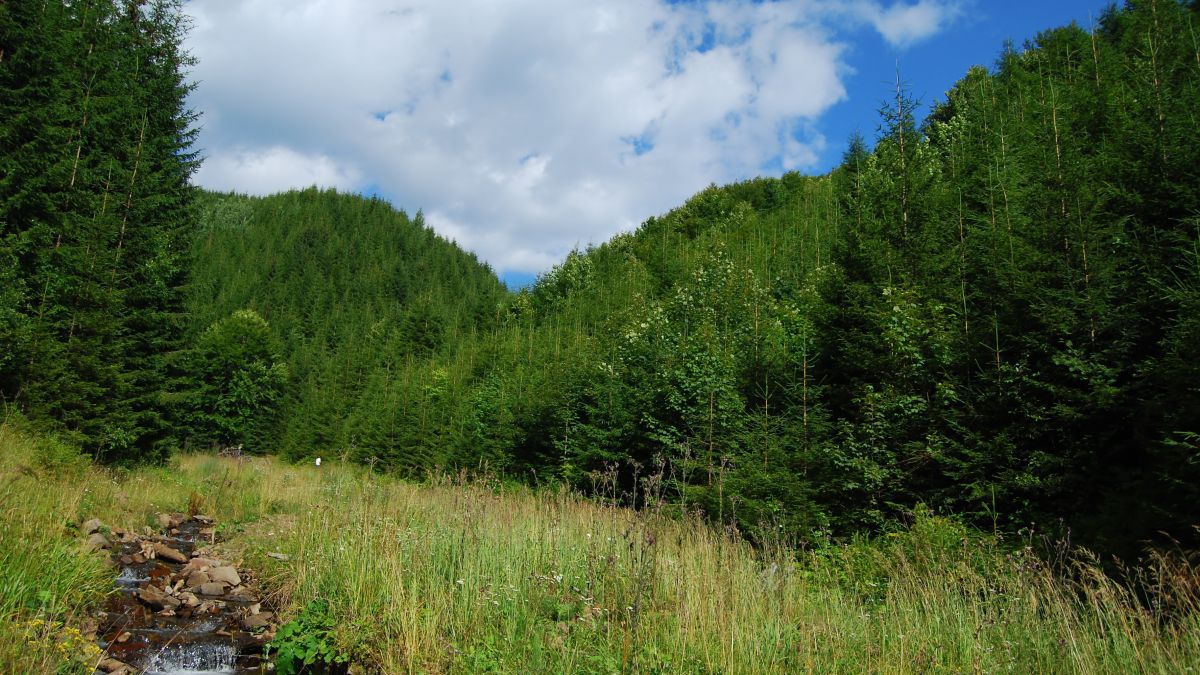 Горите ни стават курорти