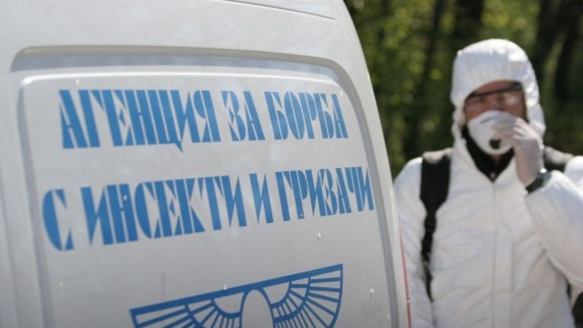 Бум на кърлежи във Варна