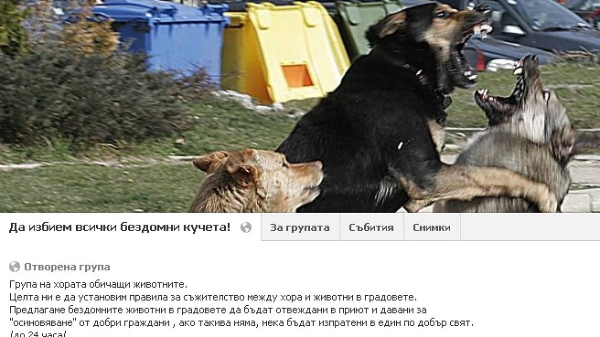 Скандална група във Фейсбук: Да избием всички бездомни кучета!