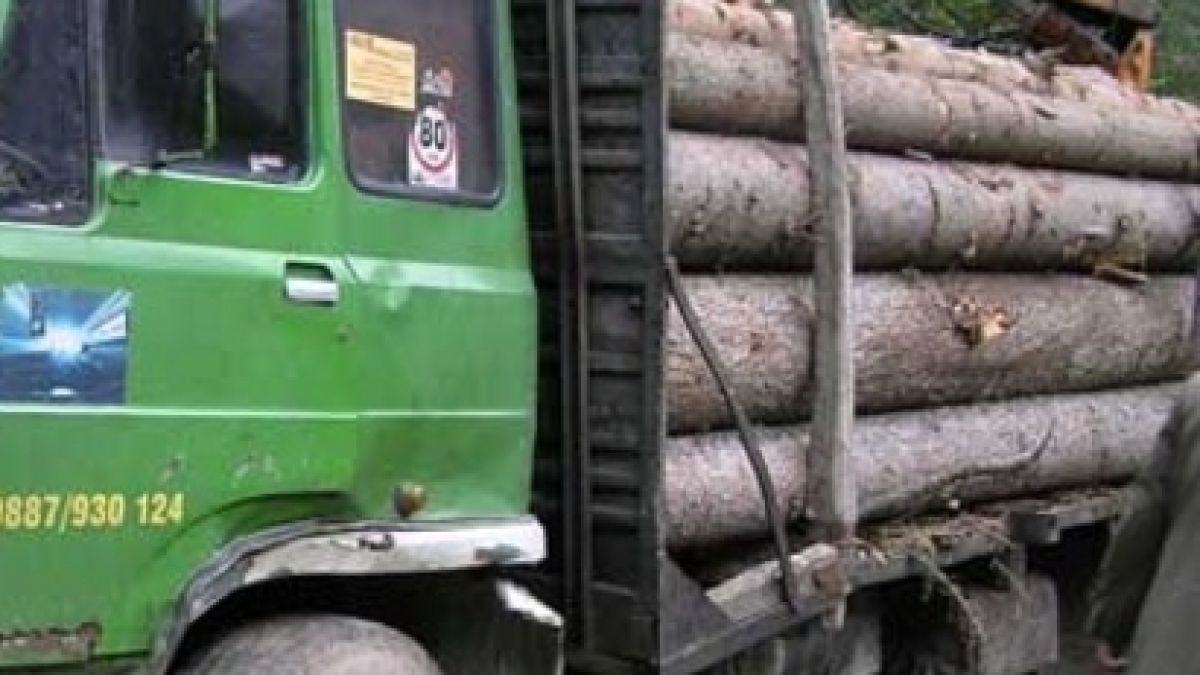 Камион с трупи сплеска кола