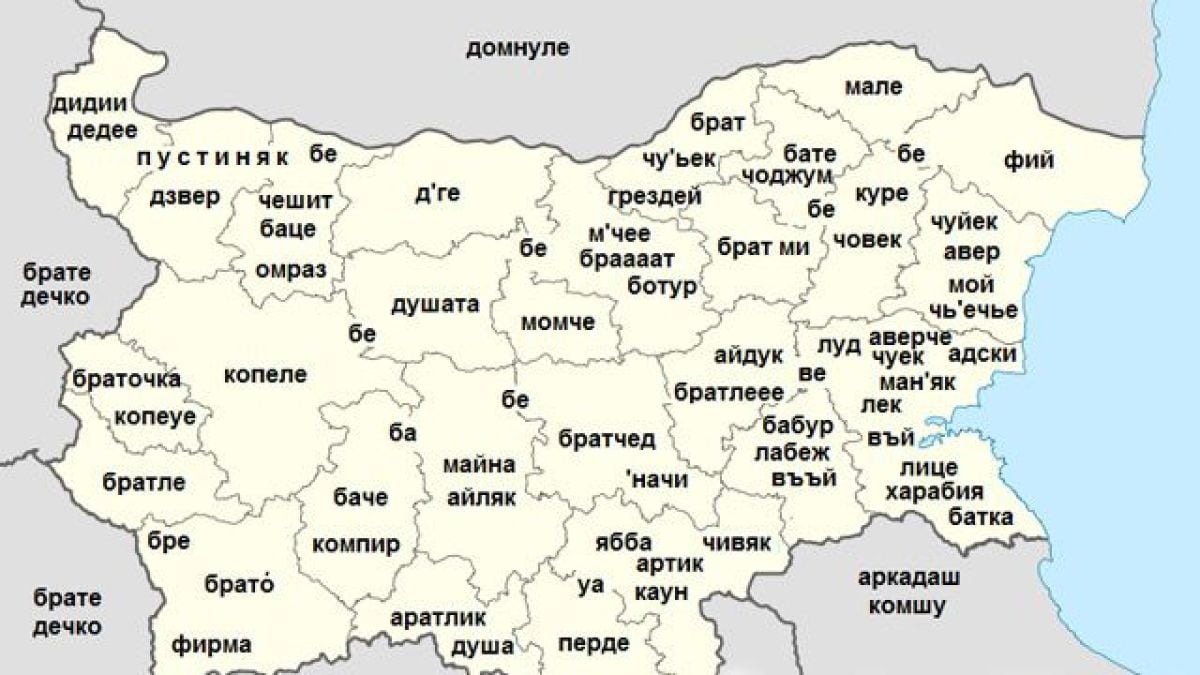 “Чиверме” и “чижми” в речник на БАН 