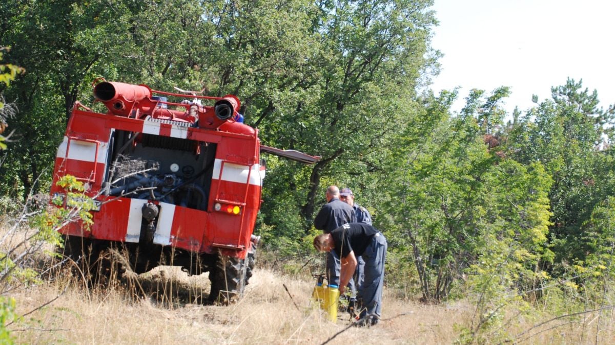 Криминалисти търсят следи от умишлен палеж на големия пожар в Хасковско (СНИМКИ)