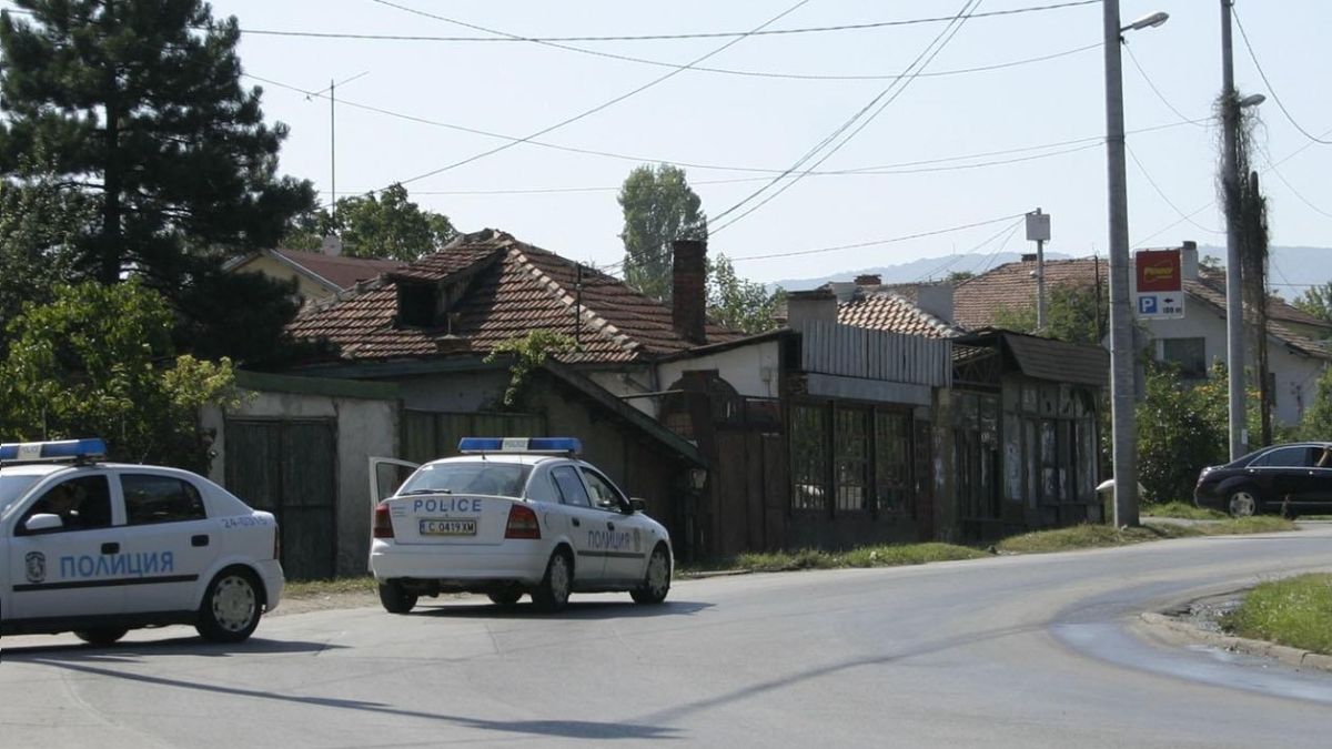 15-годишният ром от “Факултета” пребил с косачка възрастната жена