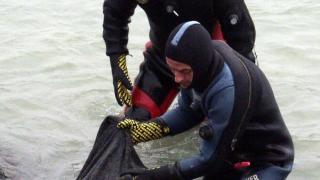 Водолази се гмурнаха в река Янтра, но откриха нещо зловещо