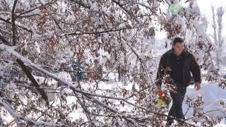 Зимата нахлува в България!