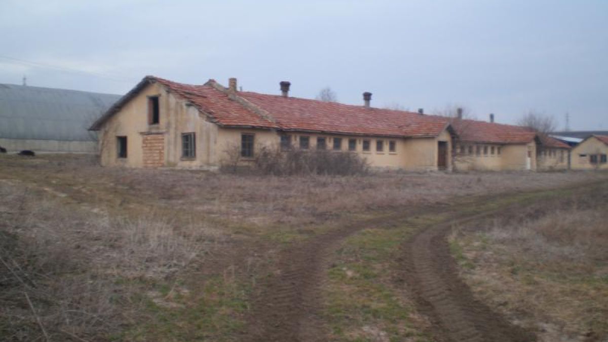 Осъдиха двама, въртели лаборатория за канабис в стар краварник